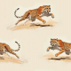 Fabric 38707 | gepard gepardy