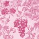 Fabric 38741 | WINOROŚL - BOTANICZNY WZÓR NA RÓŻOWO 