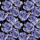 Fabric 38989 | NIEBIESKIE RÓŻE - BLUE ROSE FLOWERS