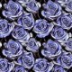 Tkanina 38989 | NIEBIESKIE RÓŻE - BLUE ROSE FLOWERS