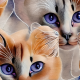 Tkanina 38999 | NIEBIESKOOKIE KOTY - BLUE-EYED CATS
