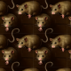 Tkanina 39025 | Szczurki - Rats