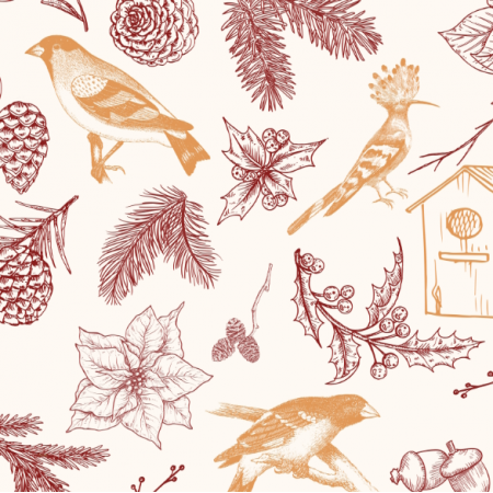 Fabric 39229 | ZIMOWE PTAKI - APRICOT / WINTER BIRDS - APRICOT