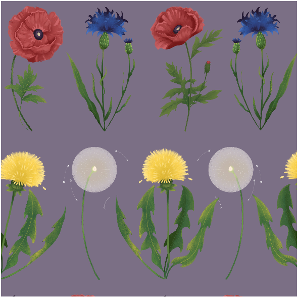 Tkanina 40264 | kwiaty polne wzór pasowy fioletowy