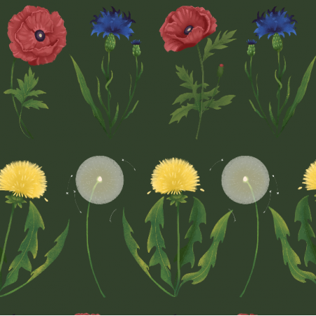 Fabric 40265 | kwiaty polne wzór pasowy zielony