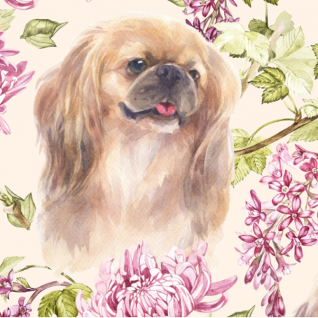 40434 | Psy Pekińczyki i różowe kwiaty 