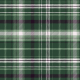 Tkanina 40801 | green checkered plaid