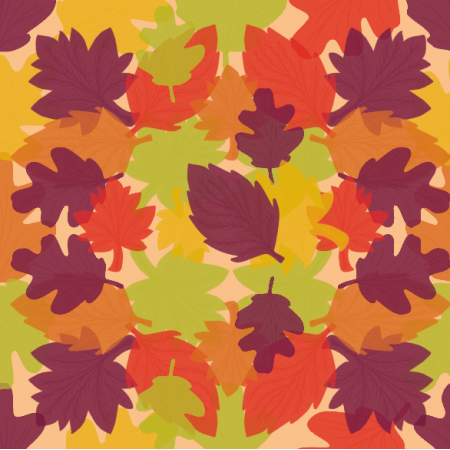 41155 | AUTUMN 06 A