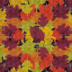 Tkanina 41160 | AUTUMN 06 C