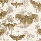 Tkanina 42379 | Beżowe Ćmy i Wiosenne Kwiaty - Botanika i Entomologia Na Beżowym Tle 