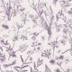 Fabric 42381 | Polne Kwiatki - Ilustracje Botaniczne 