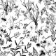 Fabric 42490 | Polne Kwiatki - Czarno-Białe Ilustracje Botaniczne 