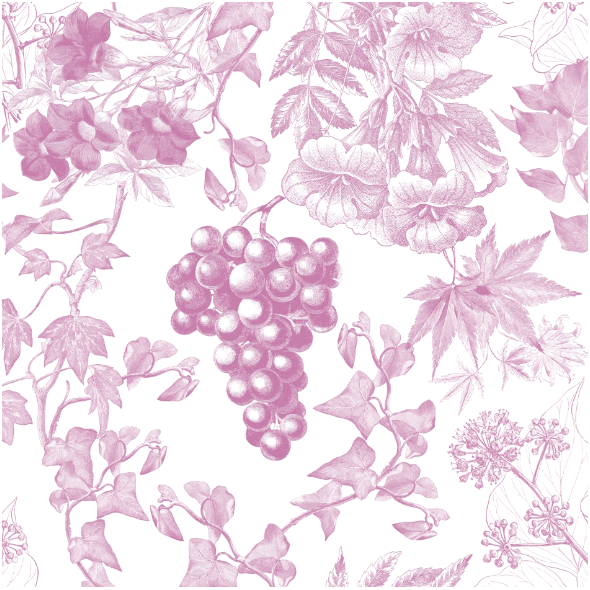 Fabric 42983 | Wzór Botaniczny Winorośl - Fiołkowy na Białym Tle  