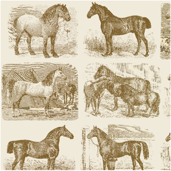 Tkanina 43165 | Rasy Koni Patchwork Szachownicowy - Konopny Kasztan