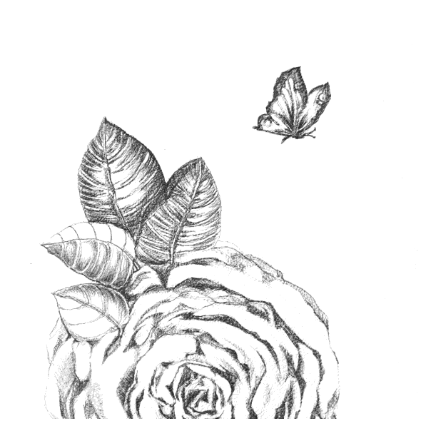 Tkanina 43213 | WIETRZYK2