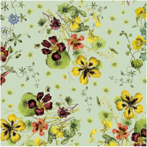 Fabric 43246 | Bukiet Letnich Kwiatów z Nasturcjami - Zielone Tło 