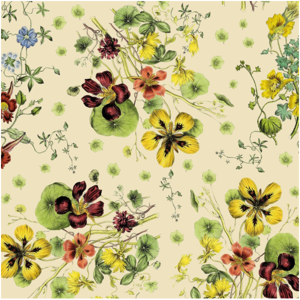 Tkanina 43248 | Bukiet Letnich Kwiatów z Nasturcjami - Kremowe Tło 