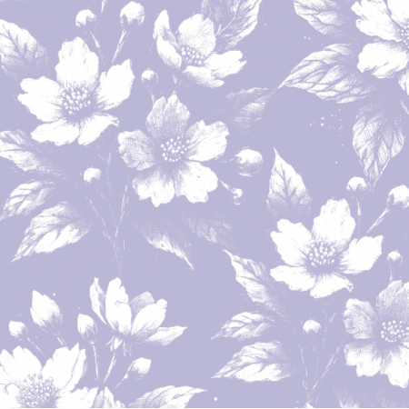 43717 | Białe Kwiaty Jaśminu Na Lawendowym Tle 