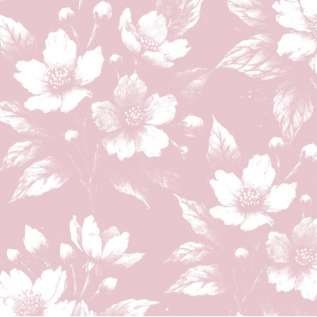 43718 | Białe Kwiaty Jasminu Na Różowym Tle 