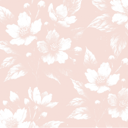 43719 | Białe Kwiaty Jaśminu Ma Brzoskwiniowym Tle 