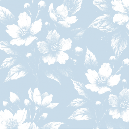 43722 | BIAŁE KWIATY JAŚMINU NA NIEBIESKIM PASTELOWYM TLE 