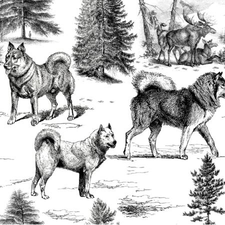 44756 | PSy Szpice Północne w Zimowym Krajobrazie z łosiami - Czarno-Biały wzór Toile 