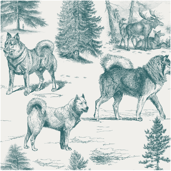 Tkanina 44758 | Psy Szpice Północne w Zimowym Krajobrazie - Wzór Toile - Turkusowy na szarym Tle 