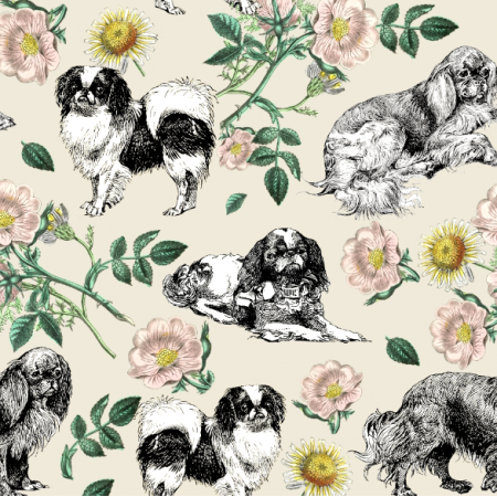 45164 | Pieski Miniatyrowe Spaniele i Dzika Róża - Kremowe Tło 