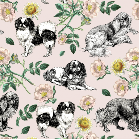 45167 | Pieski Spaniele Miniaturowe i Dzika Róża - Różowe Tło 