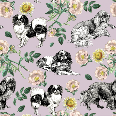 45168 | Pieski Spaniele Miniaturowe i Dzika Róża - Lawendowe Tło 