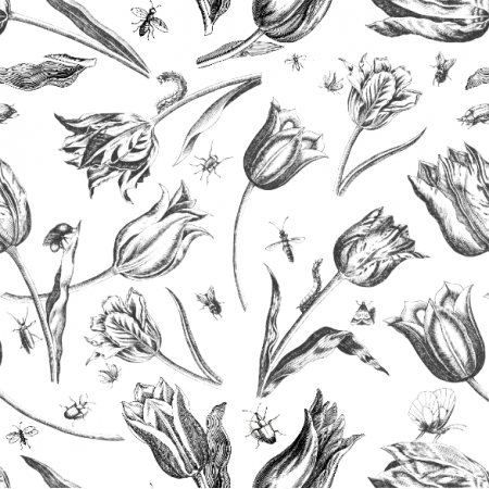 45170 | Tulipany i Owady - Czarno-białe 