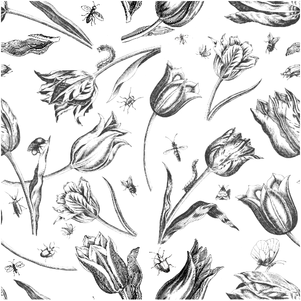 Tkanina 45170 | Tulipany i Owady - Czarno-białe 