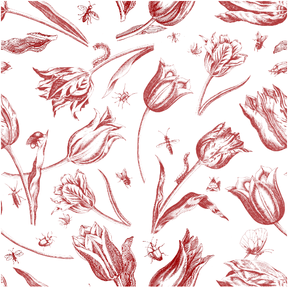 Tkanina 45172 | Tulipany i Owady - CZerwono-Białe