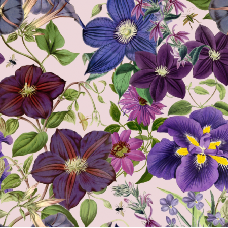 51429 | Bujny Ogród Fioletowych Kwiatów - Różowe Tło 