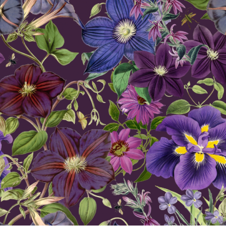 51431 | Bujny Ogród Fioletowych Kwiatów - Fioletowe Tło 