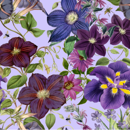 51432 | Bujny Ogród Fioletowych Kwiatów - Lawendowe Tło 