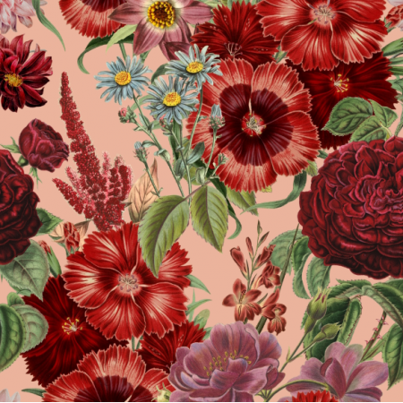 51498 | Duże Bordowe Kwiaty na Różowym Tle 