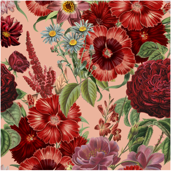 Tkanina 51498 | Duże Bordowe Kwiaty na Różowym Tle 