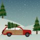 Tkanina 5442 | Xsmas pillow3