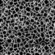 Fabric 5720 | geometric madness black