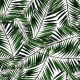 Fabric 6575 | Palms