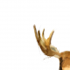 Fabric 1012 | moose
