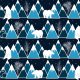 Fabric 9061 | night time walk