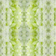Fabric 9644 | LIME