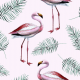 Tkanina 9772 | Flamingo