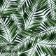 Fabric 9774 | tropiki-big
