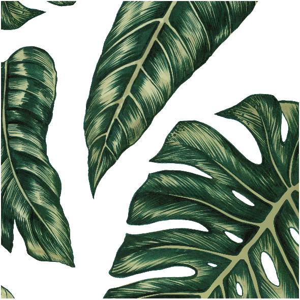 Fabric 10145 | Tropical leaves