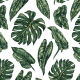 Tkanina 10145 | Tropical leaves
