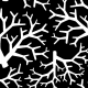 Tkanina 10361 | coral black and white0