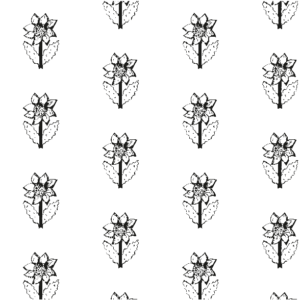 Fabric 10599 | SUNFLOWER 1 - black and white pattern